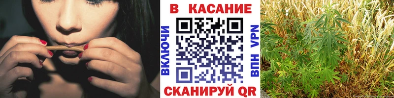 Где купить наркотики Кяхта Метамфетамин  Cocaine  АМФ  Кетамин  Каннабис  Мефедрон 