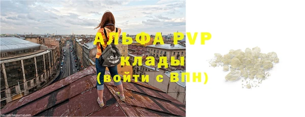 стаф Касимов