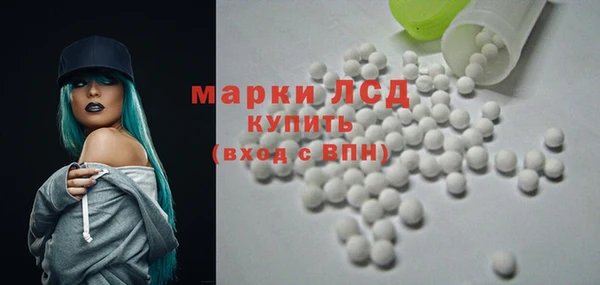 стаф Касимов