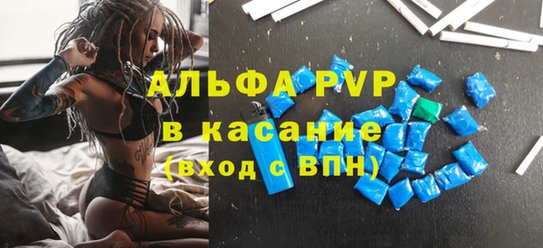 соль ск Каменногорск
