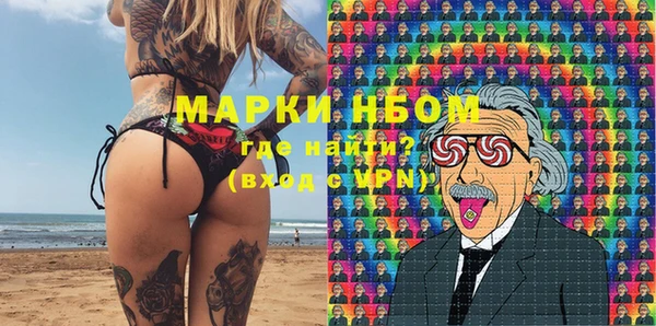 стаф Касимов