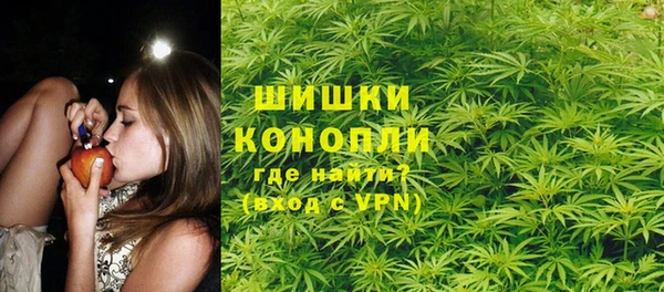 стаф Касимов